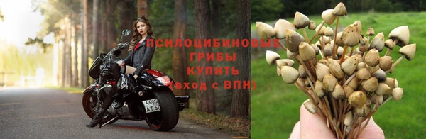 СК Алзамай