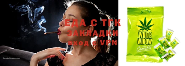 СК Алзамай