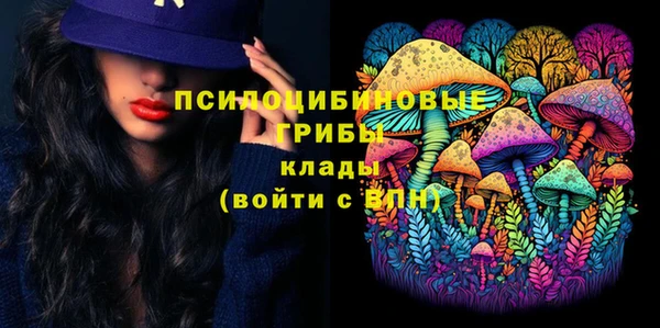 СК Алзамай