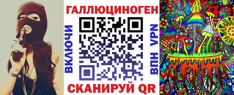 OMG вход  Большой Камень  Псилоцибиновые грибы Cubensis 