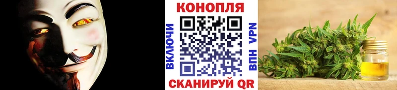 Бошки марихуана план  цена наркотик  Большой Камень 